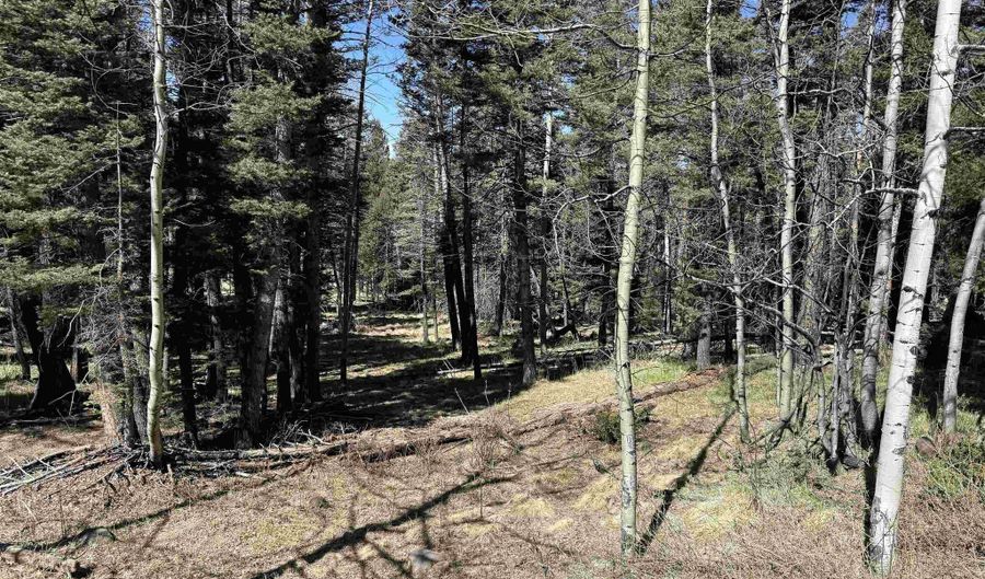 1451 El Camino Real, Angel Fire, NM 87710 - 0 Beds, 0 Bath