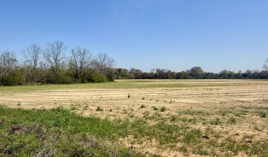 13 Acres Creek Church Rd, Pansey, AL 36370 - 0 Beds, 0 Bath