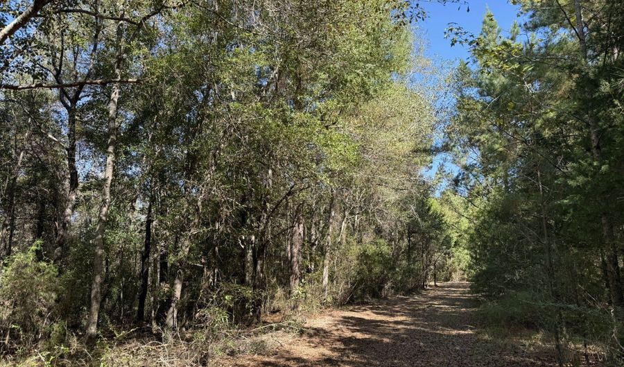 005 G Wallace Buie Rd, Ashford, AL 36376 - 0 Beds, 0 Bath