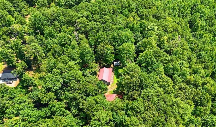 1525 Sperin Rd, Ball Ground, GA 30107 - 3 Beds, 2 Bath