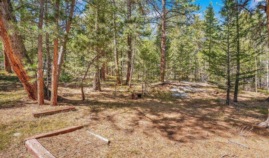 251 Haugen Slide Rd, Allenspark, CO 80510 - 2 Beds, 2 Bath