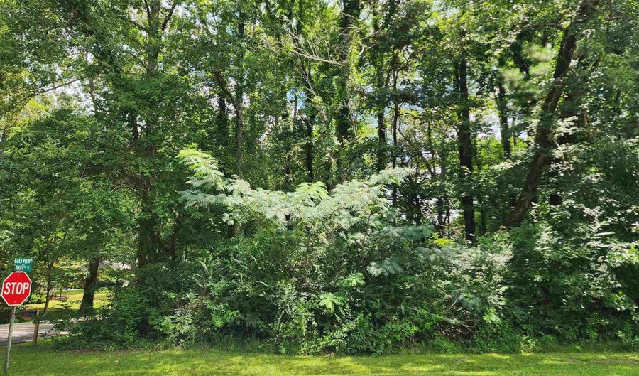 Lot 6 Golfview Drive, Arab, AL 35016 - 0 Beds, 0 Bath