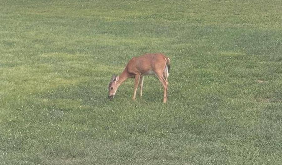 2814 Shopes Creek Rd, Ashland, KY 41102 - 3 Beds, 2 Bath