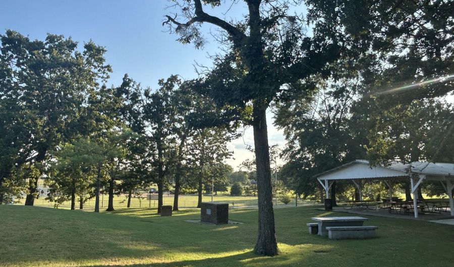 311 W Pleasant St, Aurora, MO 65605 - 3 Beds, 3 Bath