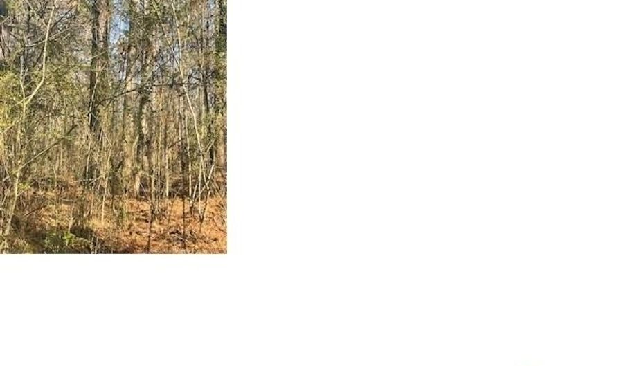 0 AURORA Dr 35, Alpine, AL 35014 - 0 Beds, 0 Bath
