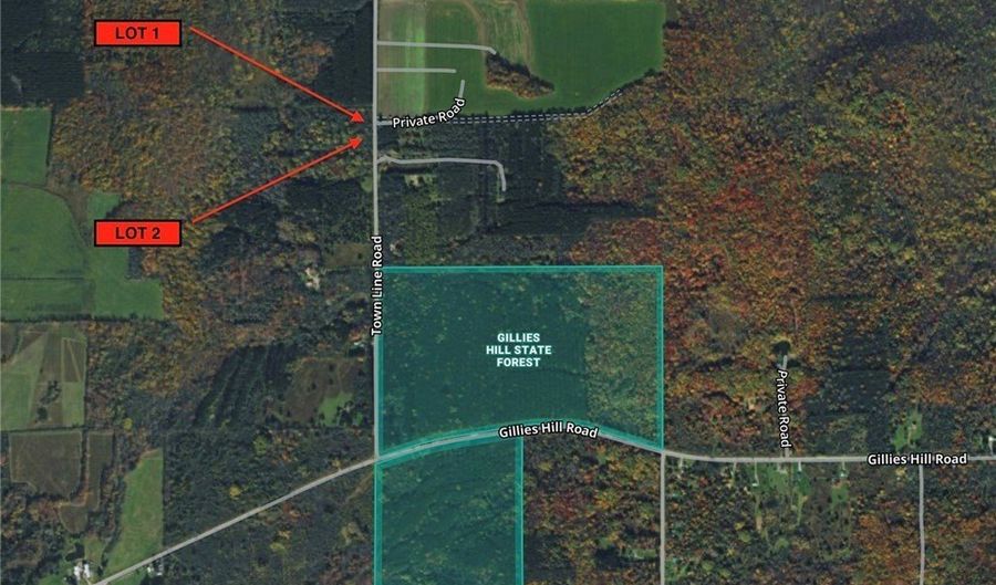 Townline Road, Angelica, NY 14709 - 0 Beds, 0 Bath