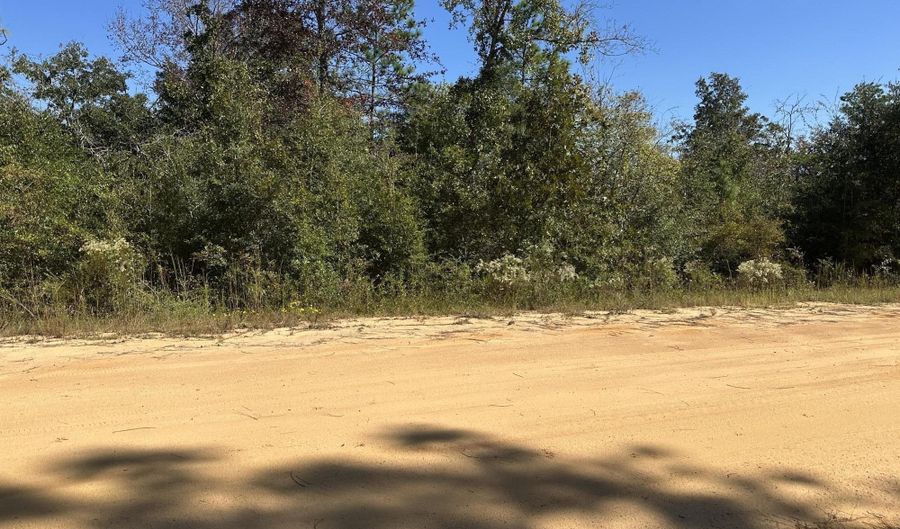 Alene Drive, Alford, FL 32420 - 0 Beds, 0 Bath