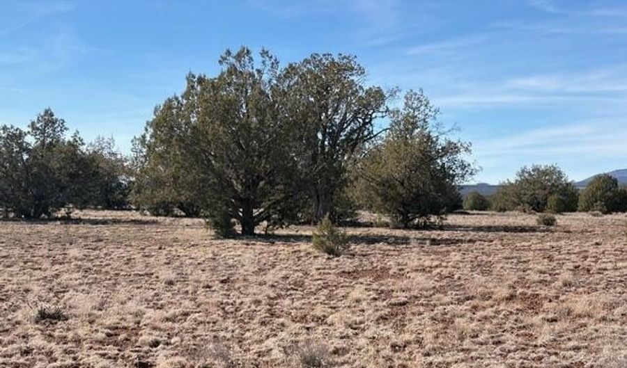 00- C N Dunbar Blvd, Ash Fork, AZ 86320 - 0 Beds, 0 Bath