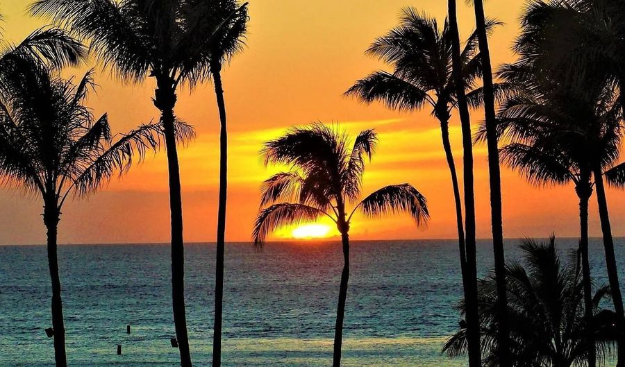 160 Keonekai Rd APT 14-202, Kihei, HI 96753 - 2 Beds, 1 Bath