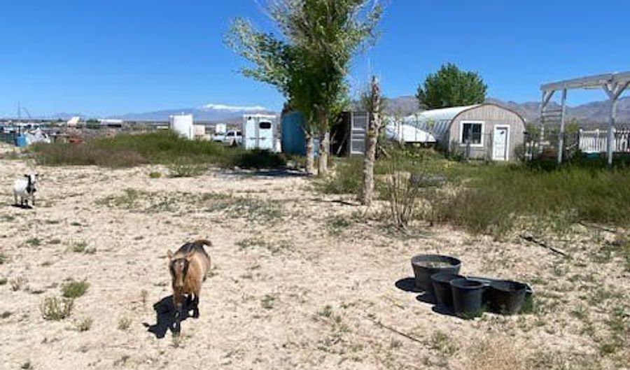 1675 Peoria St, Sandy Valley, NV 89019 - 3 Beds, 2 Bath