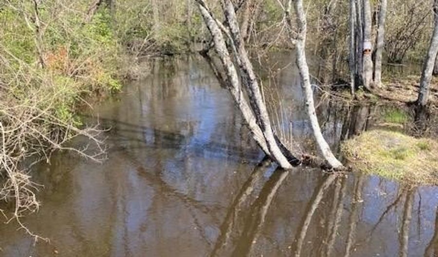 2051 Galilee Rd, Barnwell, SC 29812 - 0 Beds, 0 Bath