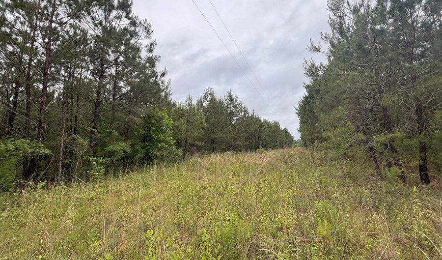0 Pebble Cove Rd, Abbeville, AL 36310 - 0 Beds, 0 Bath
