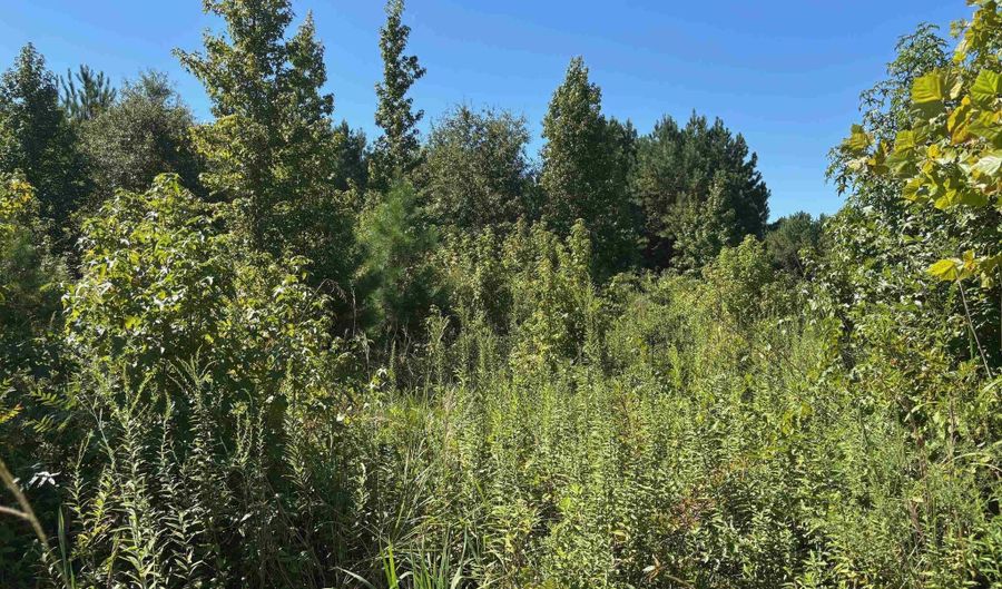 1008 Langford Rd, Blythewood, SC 29016 - 0 Beds, 0 Bath