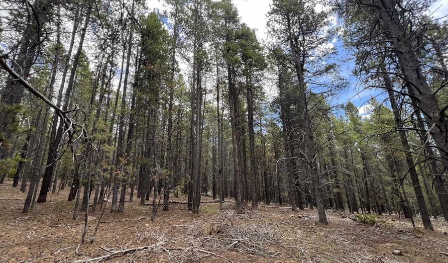10555 THK Rd, Casper, WY 82601 - 0 Beds, 0 Bath