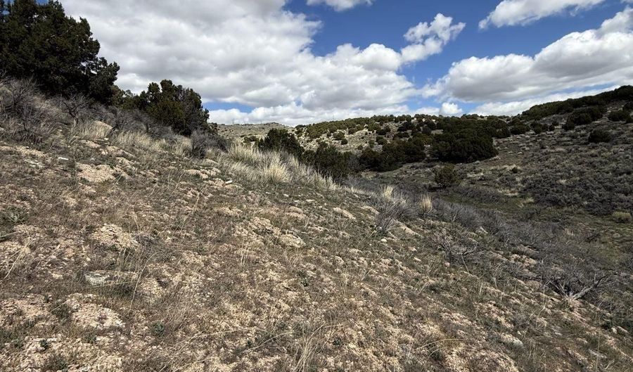 006-31 A-029, Elko, NV 89801 - 0 Beds, 0 Bath