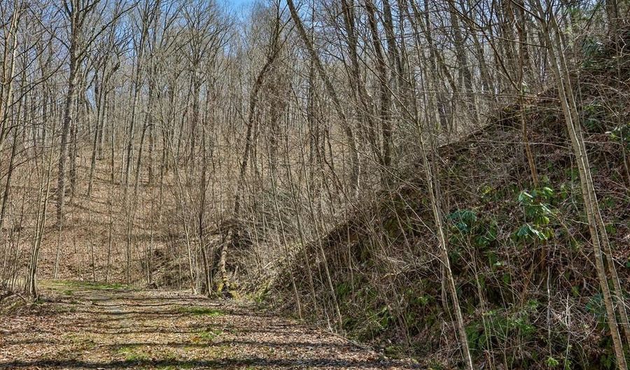 Tbd Bearwood Dr, Cullowhee, NC 28723 - 0 Beds, 0 Bath