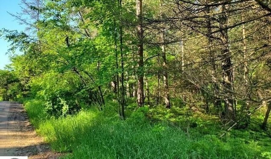 Quigley Road 40 Acres Quigley Road, Alger, MI 48610 - 0 Beds, 0 Bath