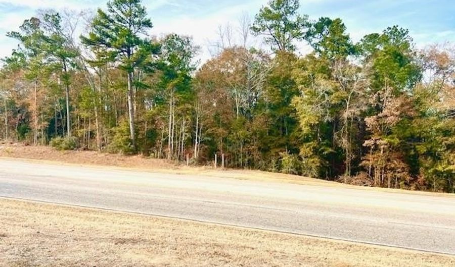 MLK Expressway, Andalusia, AL 36420 - 0 Beds, 0 Bath