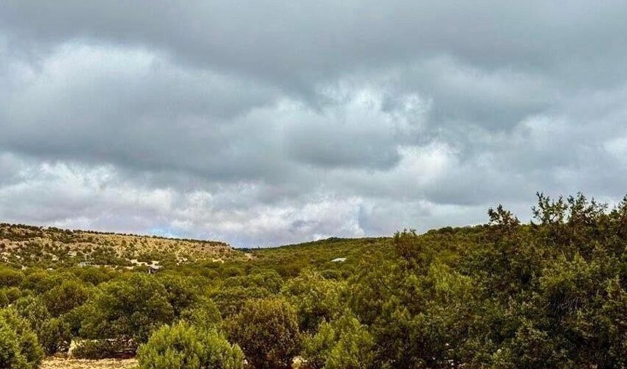 Tbd Co Rd 8256 Lot E 10 Acres, Concho, AZ 85924 - 0 Beds, 0 Bath
