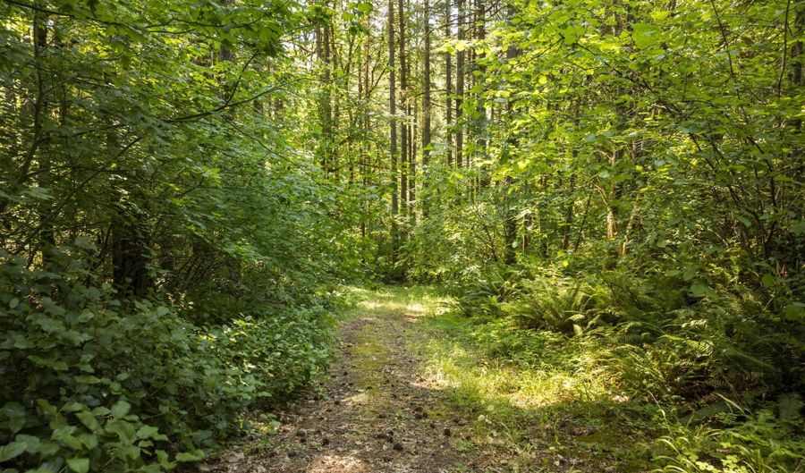 Green Mountain Rd 2, Banks, OR 97106 - 0 Beds, 0 Bath