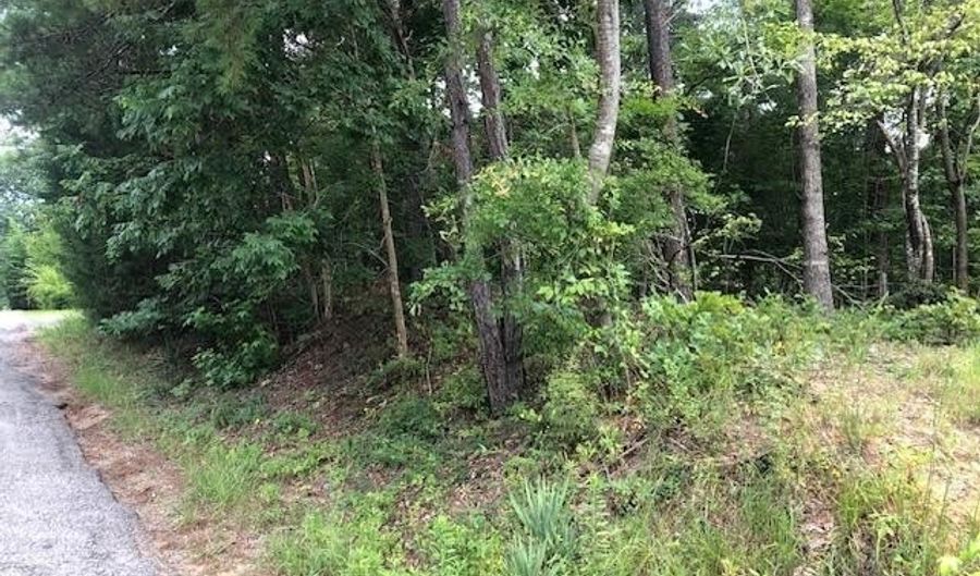 LOT 8 COUNTY ROAD 287, Arley, AL 35541 - 0 Beds, 0 Bath