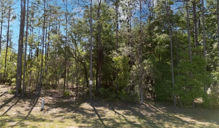 0 NE 101ST Ter, Archer, FL 32618 - 0 Beds, 0 Bath