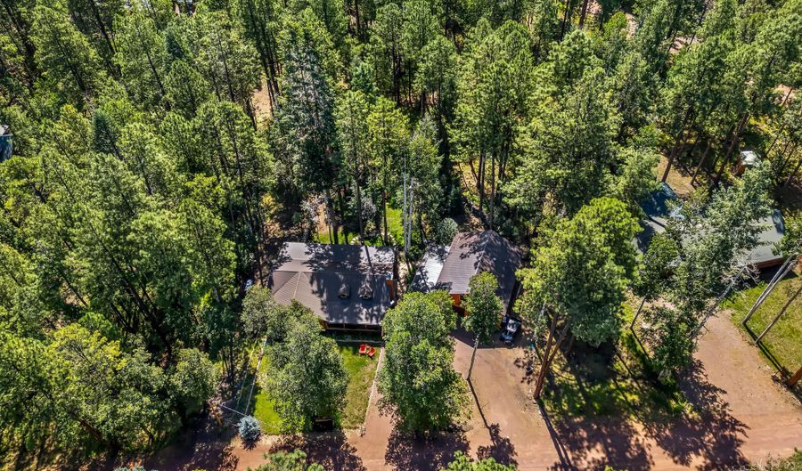6 County Road 2068, Alpine, AZ 85920 - 3 Beds, 2 Bath