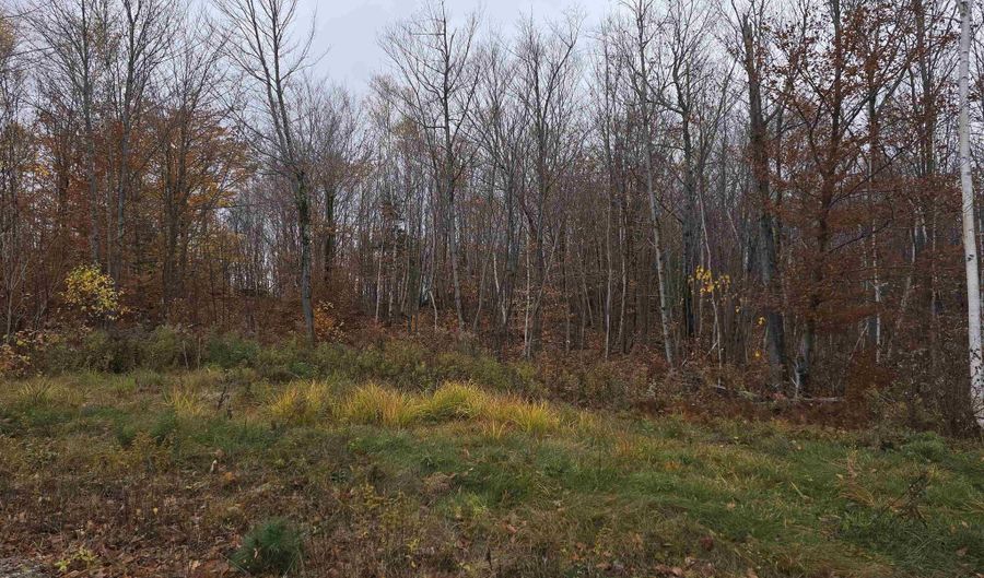 Hallowed View Drive, Berlin, NH 03570 - 0 Beds, 0 Bath