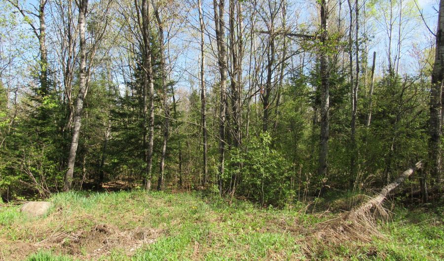 TBD US 141 Road Lukes Road, Amasa, MI 49903 - 0 Beds, 0 Bath