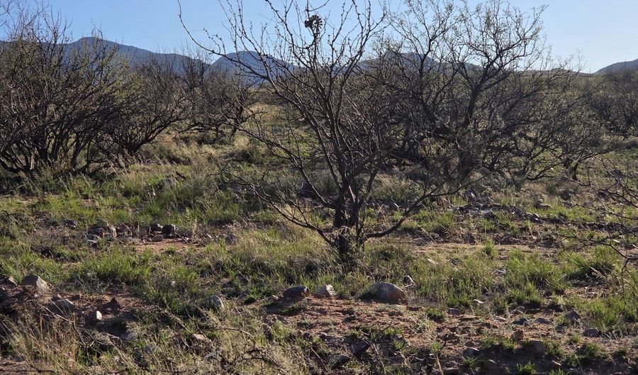 W Canary Springs Road, Benson, AZ 85602 - 0 Beds, 0 Bath