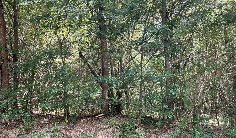 3449 HONEYCUTT Rd Lot 123, Adamsville, AL 35005 - 0 Beds, 0 Bath