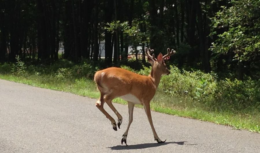 R27HF Oak Glade Road, Albrightsville, PA 18210 - 0 Beds, 0 Bath