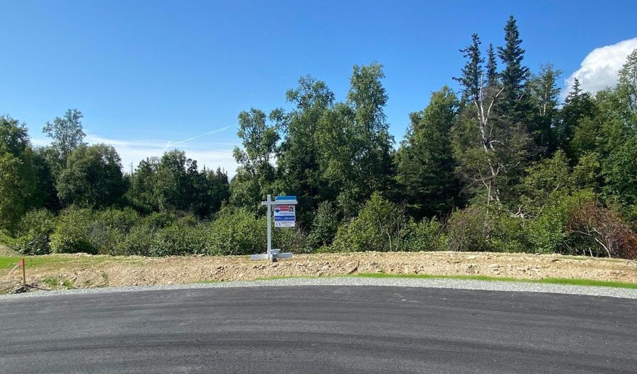 L5 Snow Flake Circle, Anchorage, AK 99516 - 0 Beds, 0 Bath