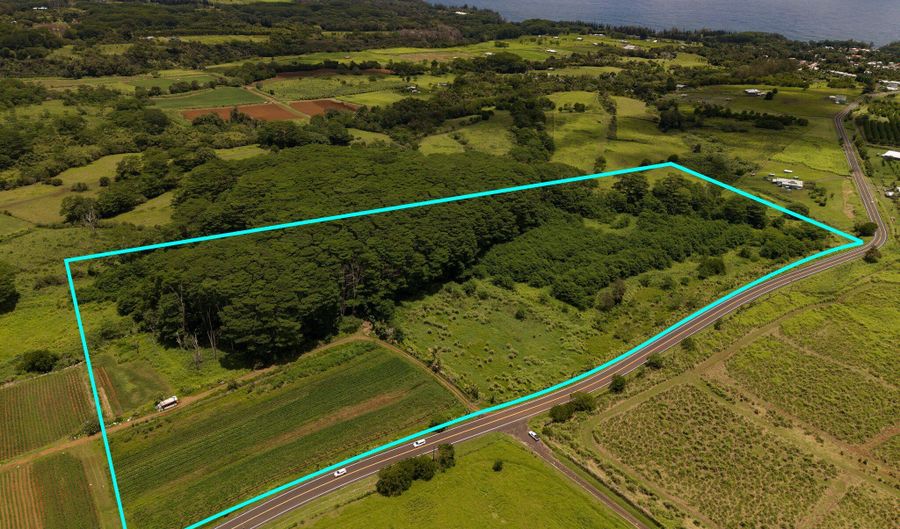AKAKA FALLS ROAD, Honomu, HI 96728 - 0 Beds, 0 Bath