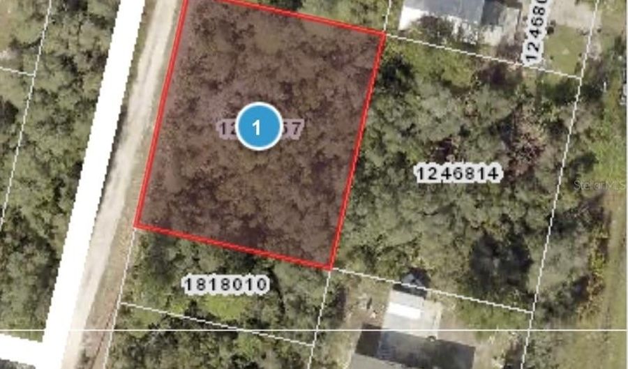 DEER CROSSING ROAD, Altoona, FL 32702 - 0 Beds, 0 Bath