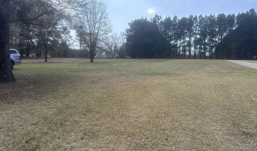 CR 1503, Alba, TX 75410 - 0 Beds, 0 Bath