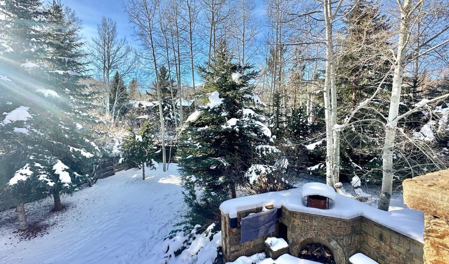 1395 Snowbunny Ln, Aspen, CO 81611 - 5 Beds, 8 Bath