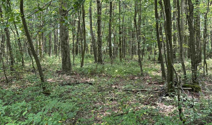 31 Oak Dr, Albright, WV 26519 - 0 Beds, 0 Bath