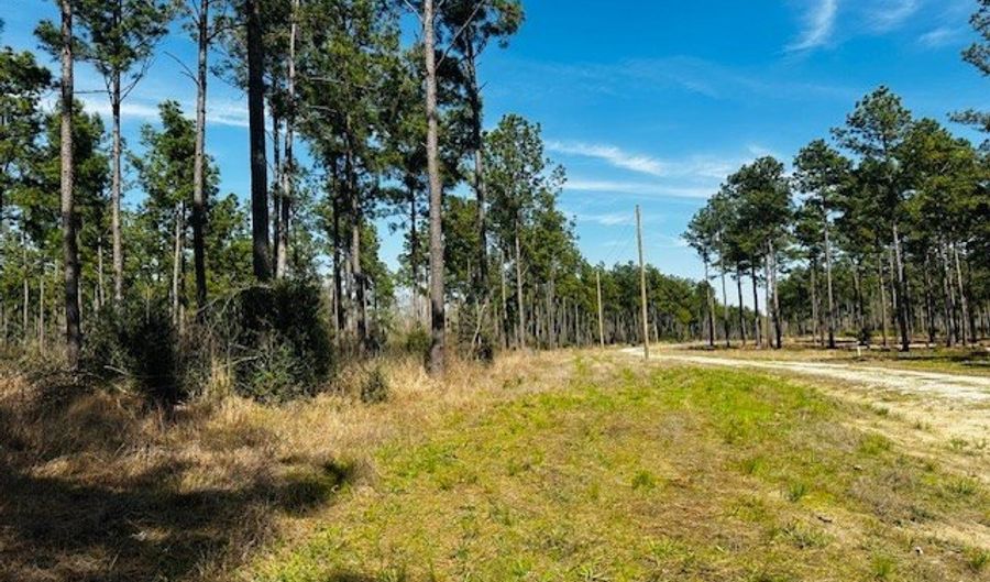 5-6 Laird Lane FM 357, Apple Springs, TX 75926 - 0 Beds, 0 Bath