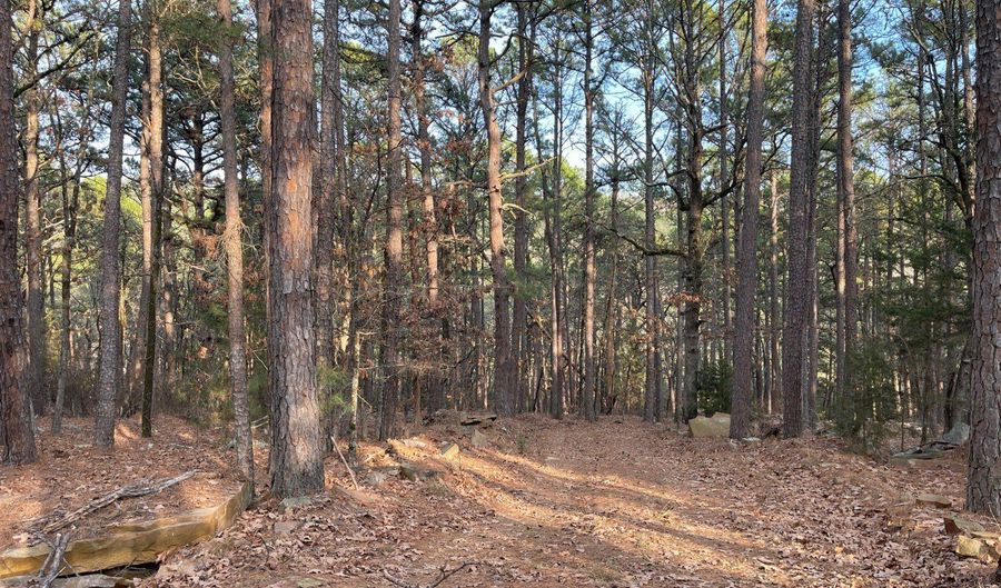 175626 Boulder Rd, Antlers, OK 74523 - 2 Beds, 1 Bath