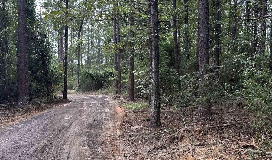 40140 Dogwood Fork Rd, Bay Minette, AL 36507 - 0 Beds, 0 Bath