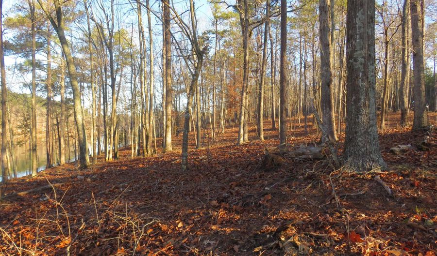 LOT # 4 ROCK RIDGE LANE, Arley, AL 35541 - 0 Beds, 0 Bath