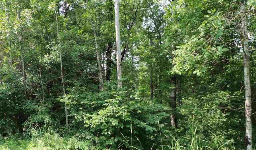 Deer Forest Rd, Aurora, MN 55705 - 0 Beds, 0 Bath