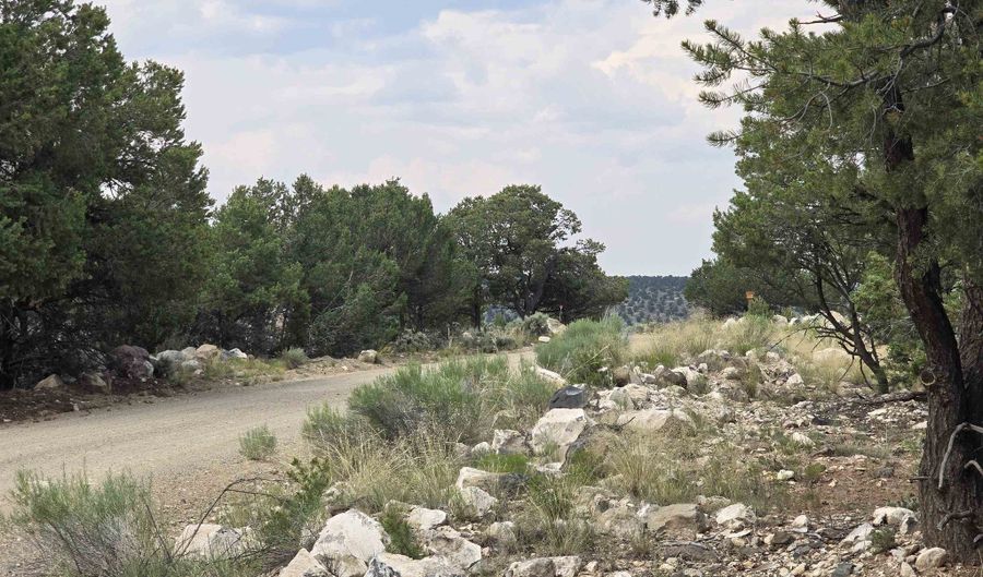 Lobo Ranch Road, Arroyo Hondo, NM 87513 - 0 Beds, 0 Bath