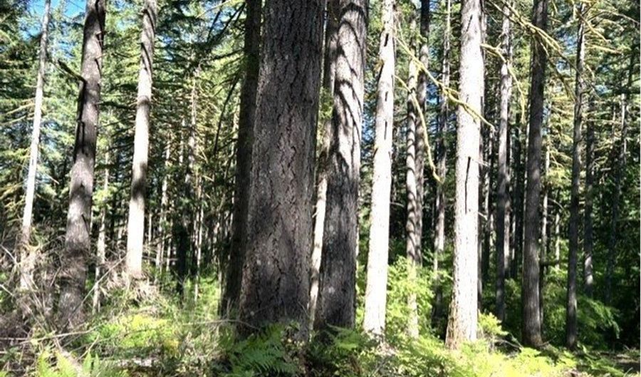Tunnel Tract Parcel3, Banks, OR 97106 - 0 Beds, 0 Bath