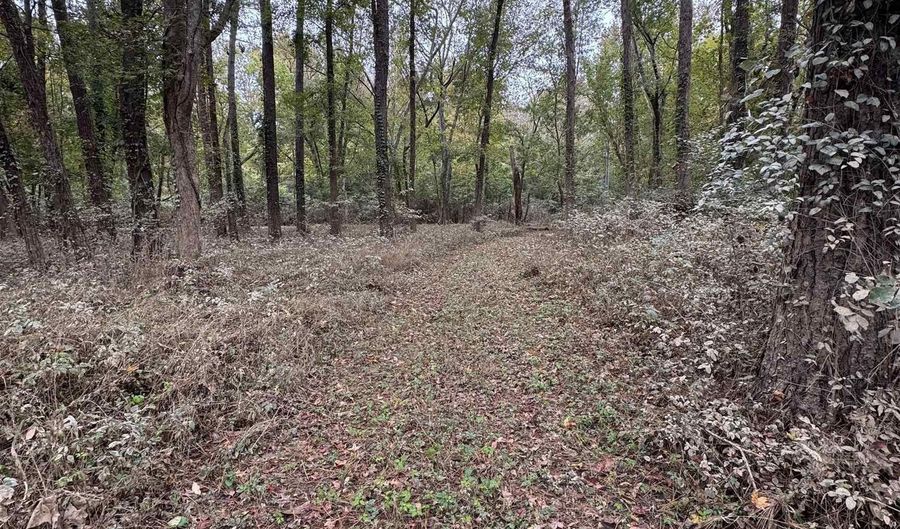 157 Wild Turkey Ln, Camden, SC 29020 - 0 Beds, 0 Bath