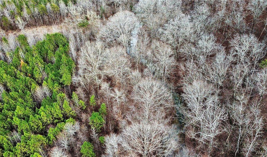 8648 Groundhog Rd, Adger, AL 35006 - 0 Beds, 0 Bath