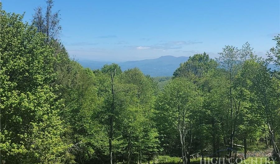 Foxfire Drive, Banner Elk, NC 28604 - 0 Beds, 0 Bath