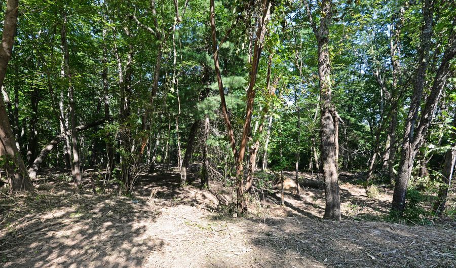 0 Turnberry Ln Lot 14, Lookout Mountain, GA 30750 - 0 Beds, 0 Bath