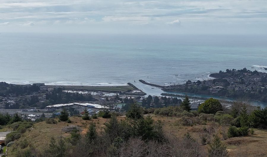 Dale Ct, Brookings, OR 97415 - 0 Beds, 0 Bath